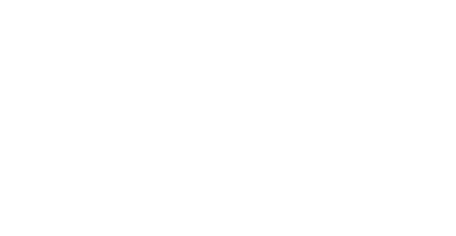 Rainier Animal Eye logo