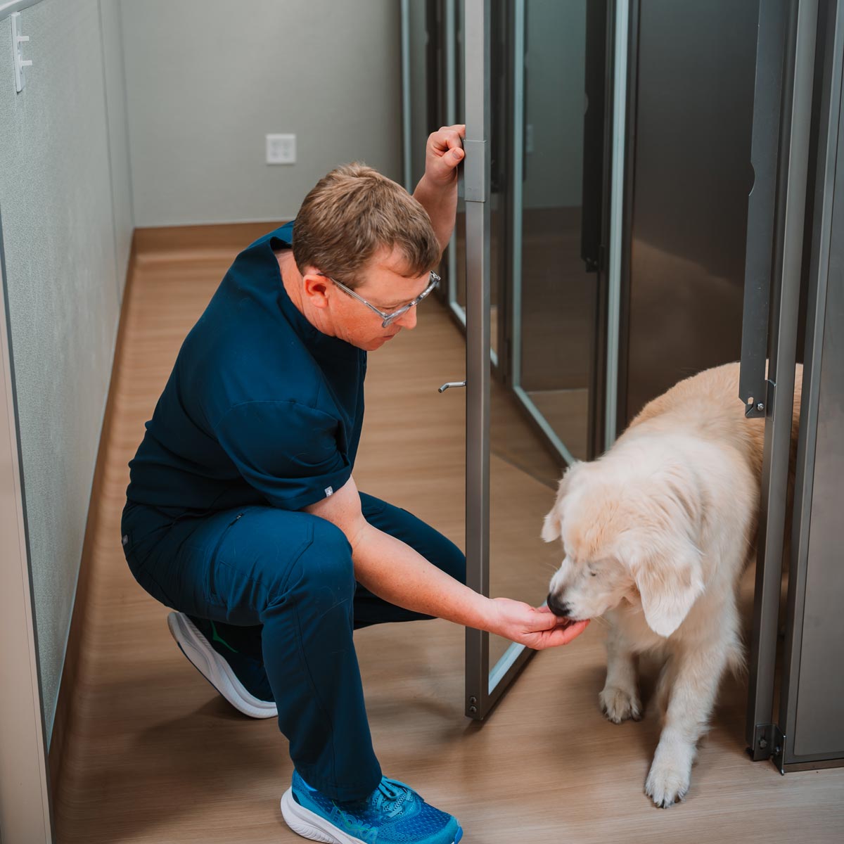 Dog Ward